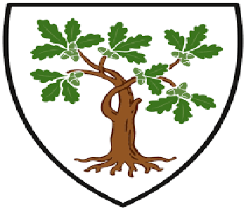 Resized image